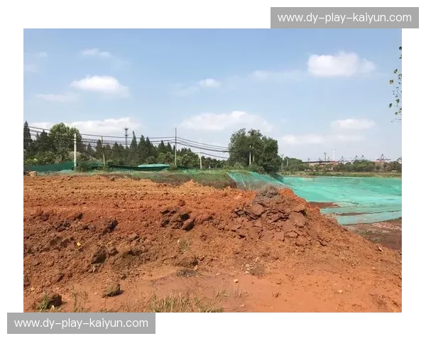 热浪侵袭与意志较量:当“潘塔纳尔金鱼”遇上“南里奥格兰德不朽者”